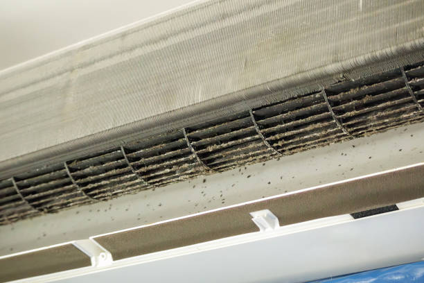 Best Home Air Vent Cleaning  in Fort Pierce South, FL